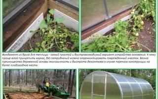 Фундамент для теплицы из бруса своими руками