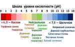 Известкование почвы осенью норма внесения