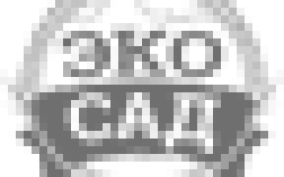 Борьба с паршой яблонь осенью