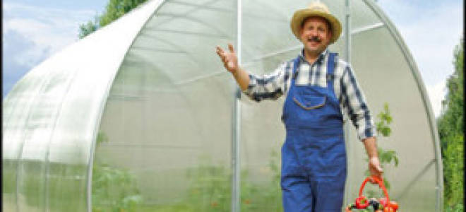 Срок службы поликарбоната на теплице