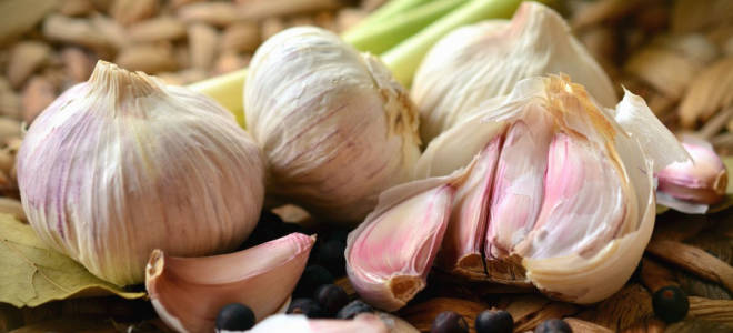 Обработка чеснока перед посадкой осенью