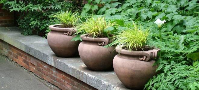 Вазоны бетонные для цветов уличные