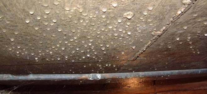 Сырой потолок в погребе что делать