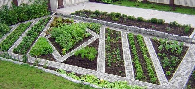 Как правильно расположить грядки на огороде