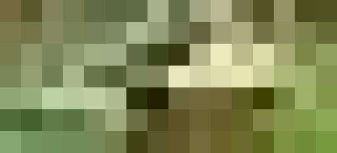 Для увеличения урожайности огурцов в теплице следует