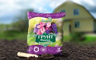 Грунт для фиалок своими руками