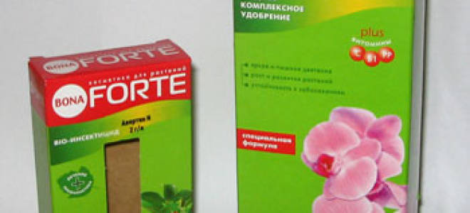 Удобрение forte для всех комнатных растений инструкция