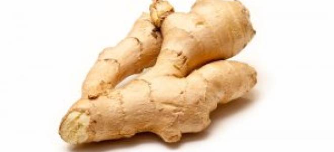 Имбирь выращивание на даче