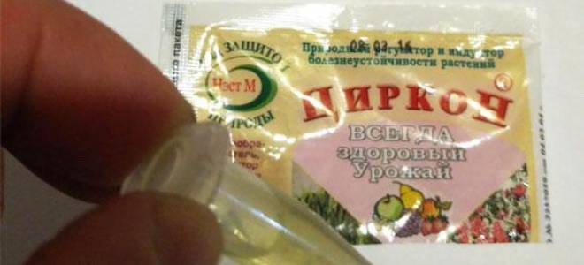 Циркон для комнатных растений применение