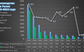 Где растет хмель в России