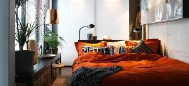 Какие комнатные растения можно держать в спальне