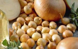 Лук трой описание сорта посадка и уход
