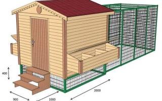 Курятник на даче для 5 кур